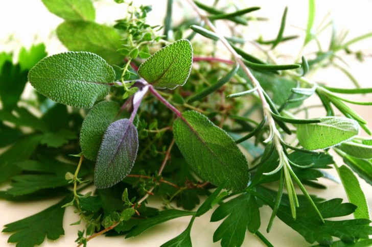 Parsely , Sage, Rosemary and Thyme....